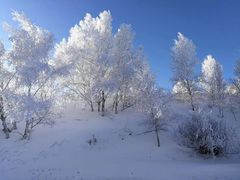 -塞罕坝国家级自然保护区
