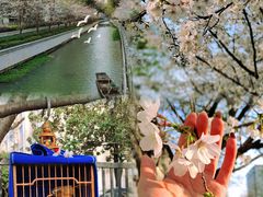 -鸡鸣寺