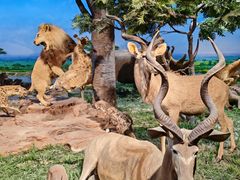 -国家自然博物馆