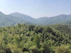 -宁波浙东大竹海景区