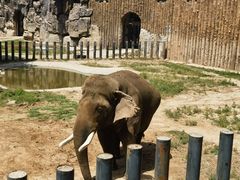 -济南野生动物世界