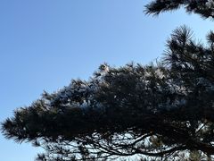 -安吉龙王山峡谷漂流