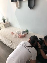 点击看大图 -大树儿童摄影