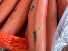-三亚新鸿港水果一级批发市场