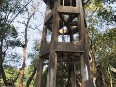 -蒋氏故居