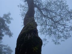 -武当山风景区