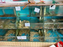 -小叶大馅饺子城