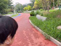 -滨河世纪广场公园