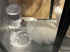-瞳·实景密室逃脱(护国店)