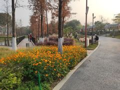 -映月湖公园