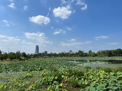 -澹台湖公园