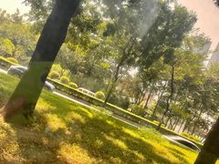 -金翠皇宫粤菜·点心·海鲜(翡翠店)