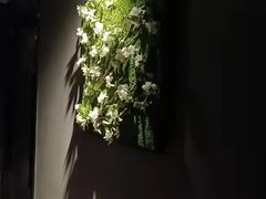 -仟汇足道·SPA(秀洲总店)