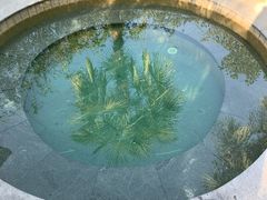 -咸宁万豪温泉谷度假区