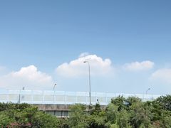 -小洲村