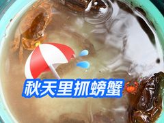 -重庆彩云湖湿地公园