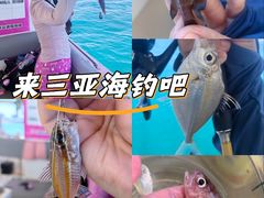 -小猫钓鱼海钓俱乐部(椰梦长廊店)