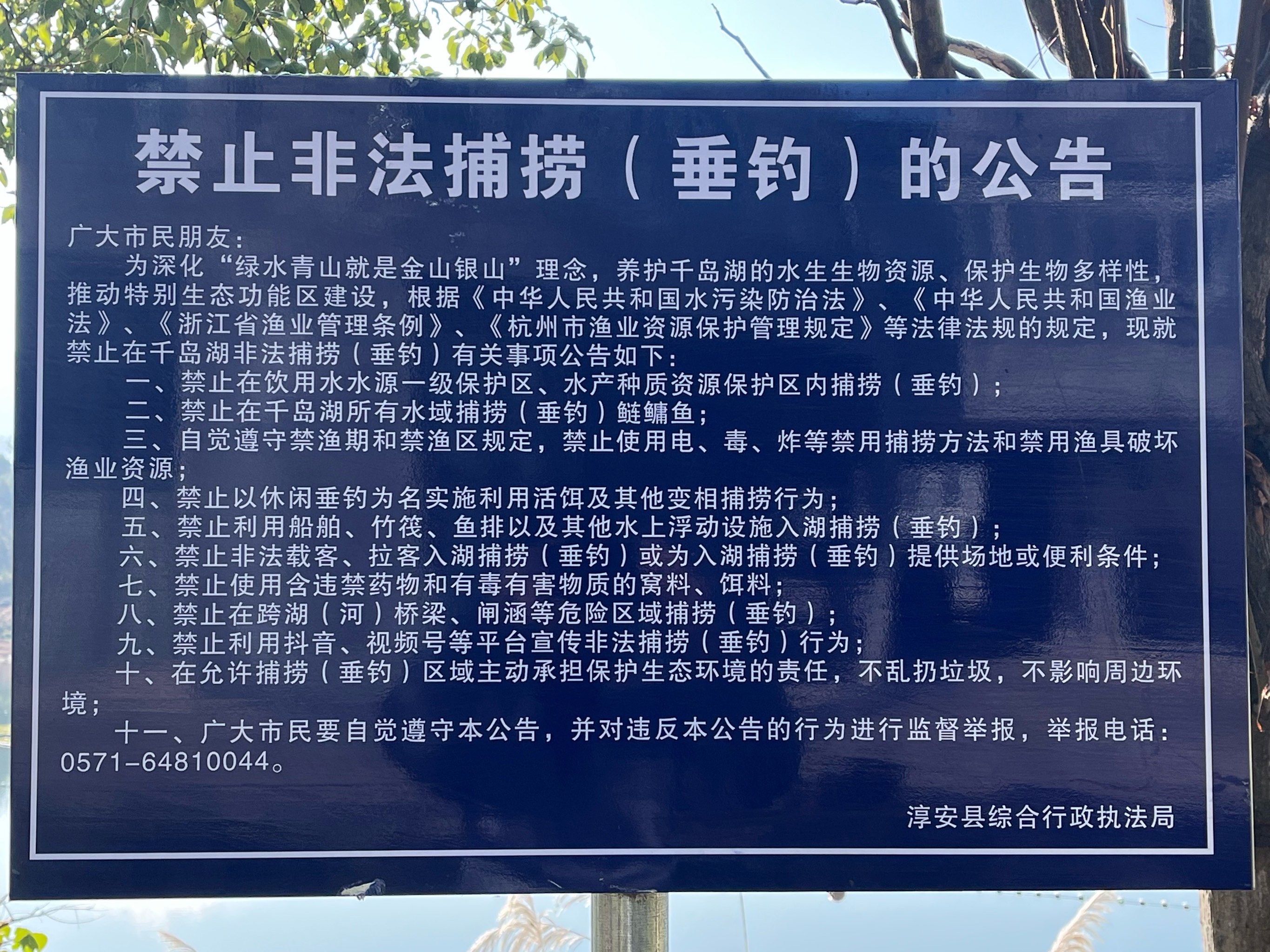 千岛湖的胖头鱼(鲢鳙鱼),是禁止钓的,因