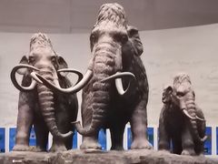 -大庆市博物馆