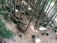 -天乐农家鱼头王(天目湖店)