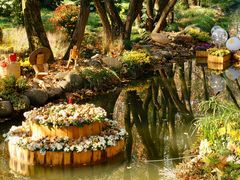 -上海共青森林公园