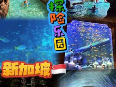 -新加坡水上探险乐园