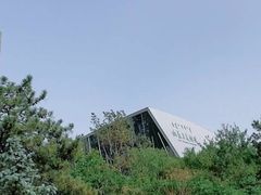 -内蒙古美术馆