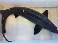 -江湖水乡铁锅炖魚(周庄嘉园店)