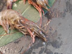 -牛中牛烤肉店(民生街店)