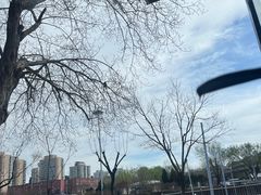 -莫多多餐厅