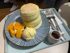 -王守财小山園