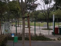 -新江湾城公园