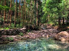 -雁荡山风景名胜区-小龙湫