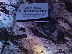 -周口店北京人遗址公园