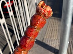 -和禄德冰糖葫芦