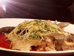 清蒸东星斑-北京四季酒店·采逸轩