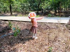 -塘栖枇杷特色园区