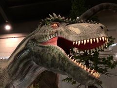 -湖南省地质博物馆