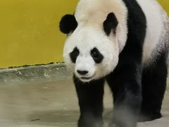 -杭州野生动物世界