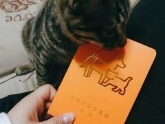 -特一安24小时宠物医院·骨科·中兽医