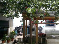 -湖山人家·湖景餐厅·特色农家菜(太湖西山店)