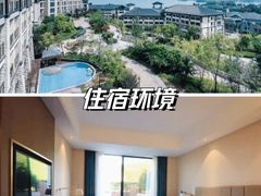 -夏山营地教育