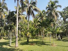 -中国科学院西双版纳热带植物园