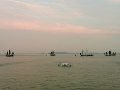 -贡湖湾湿地公园