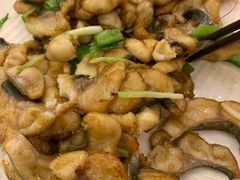 煎焗鲶鱼（或鲢鱼）-围龙屋客家食府(福田店)