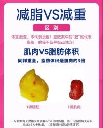 -Fundi张玉珊修身堂·indiba·BTL科技瘦身