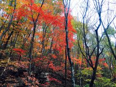 -本溪老边沟风景区