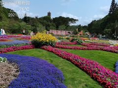 -深圳仙湖植物园