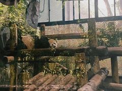 -上海野生动物园