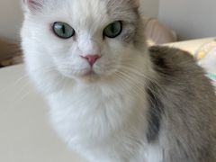 -怪兽屋·羊驼·猫咖·狗咖(俊华广场店)